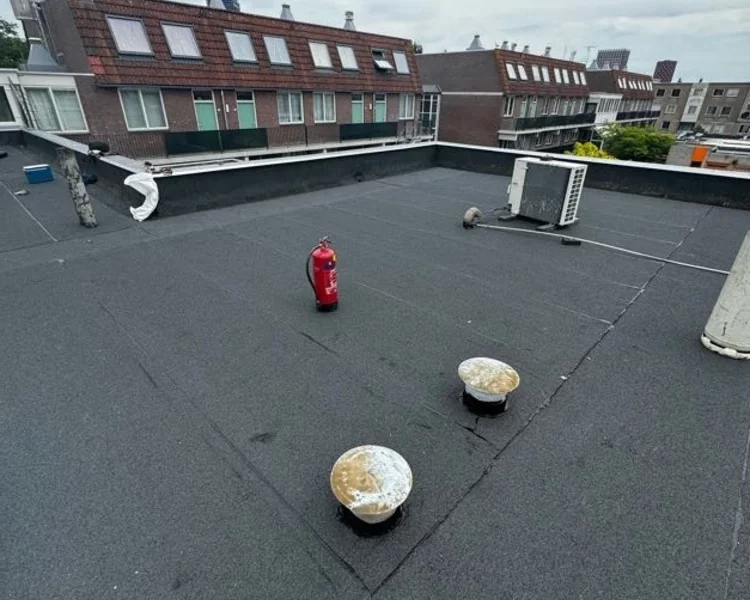 alphadak-realisatie-jan-ligthartschool-den-haag-3